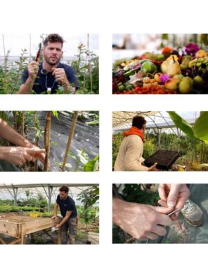 Pépinière en forêt comestible avec Lancelot de Pépins Perdus