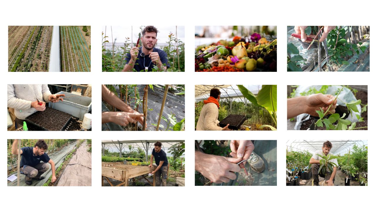 Pépinière en forêt comestible avec Lancelot de Pépins Perdus