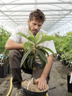 Pépinière en forêt comestible avec Lancelot de Pépins Perdus