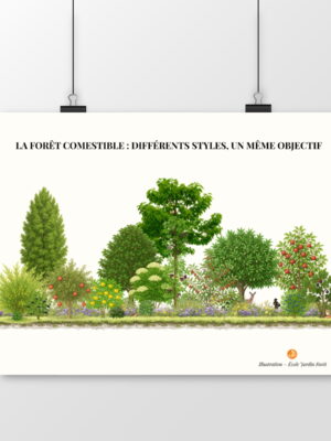 Affiche Forêt comestible