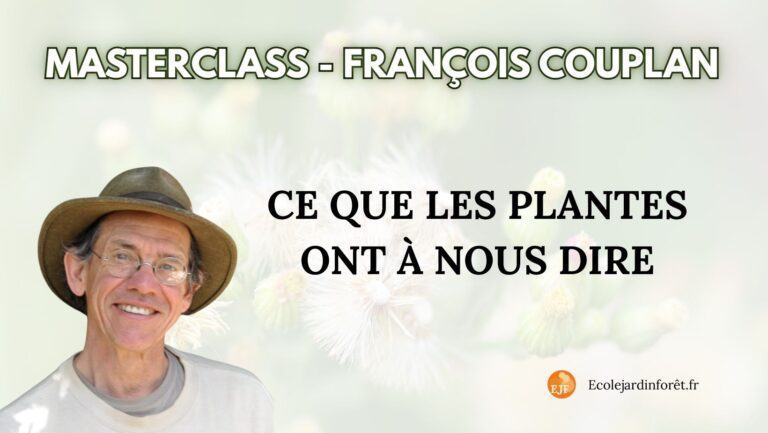 Masterclass – Ce que les plantes ont à nous dire – François Couplan