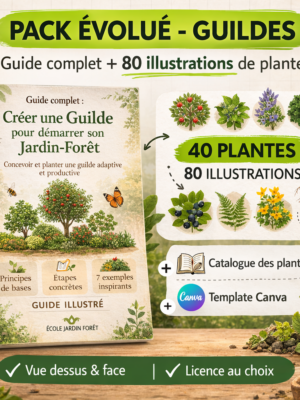 Pack – Guide complet + 80 illustrations pédagogiques